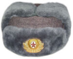 UshankaPolice