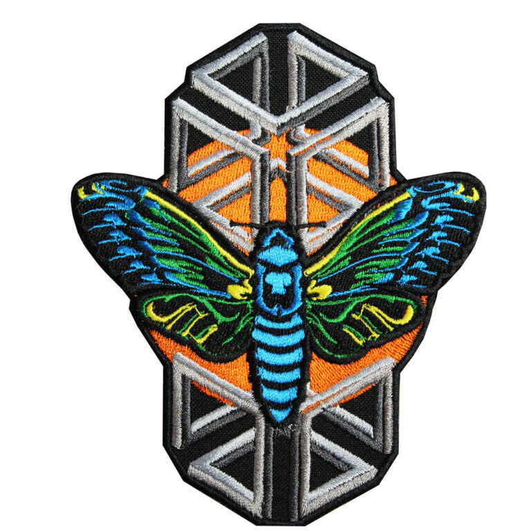 22092020-cicada1