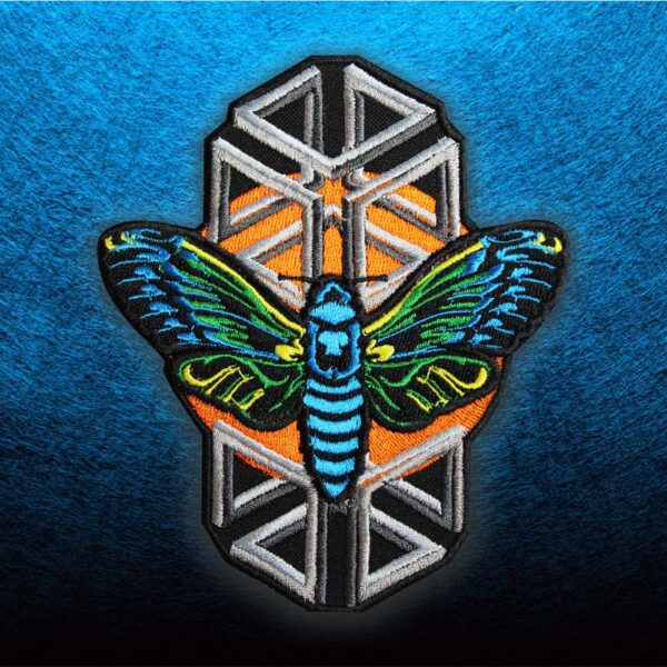 22092020-cicada2
