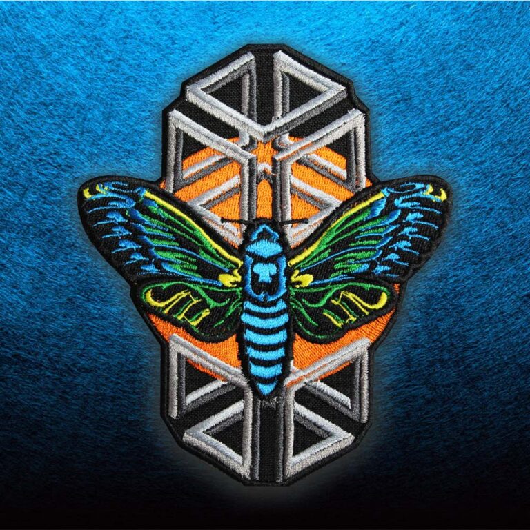 22092020-cicada2
